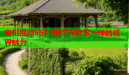 蜜桃视频5575带你探索不一样的视界魅力