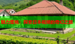 魅力蜜桃：探索日本视频的奇幻之旅