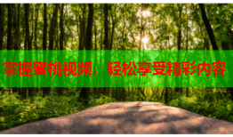 掌握蜜桃视频，轻松享受精彩内容