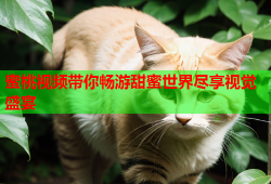 蜜桃视频带你畅游甜蜜世界尽享视觉盛宴