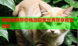 蜜桃视频带你畅游甜蜜世界尽享视觉盛宴