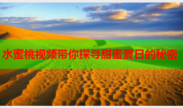 水蜜桃视频带你探寻甜蜜夏日的秘密