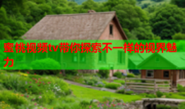 蜜桃视频tv带你探索不一样的视界魅力