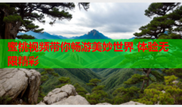 蜜桃视频带你畅游美妙世界 体验无限精彩