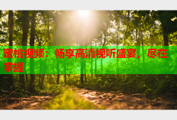蜜桃视频：畅享高清视听盛宴，尽在掌握