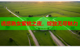 诱惑熟女蜜桃之夜，绽放无尽魅力