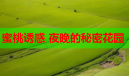 蜜桃诱惑 夜晚的秘密花园