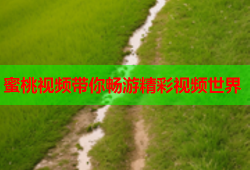 蜜桃视频带你畅游精彩视频世界