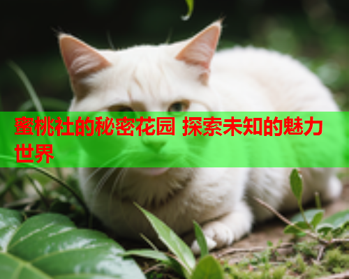 蜜桃社的秘密花园 探索未知的魅力世界