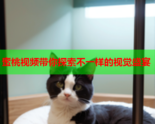 蜜桃视频带你探索不一样的视觉盛宴