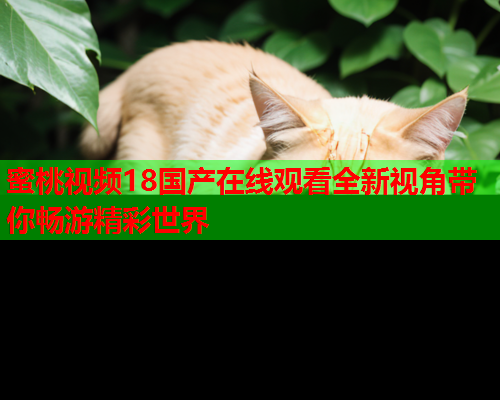 蜜桃视频18国产在线观看全新视角带你畅游精彩世界