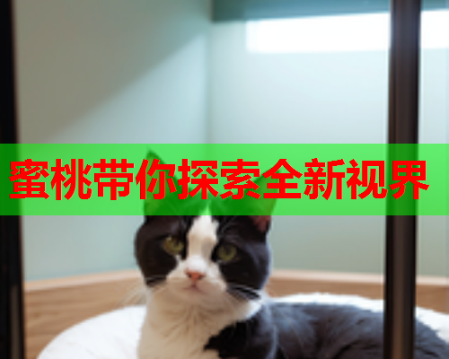 蜜桃带你探索全新视界