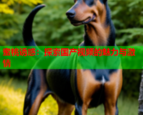 蜜桃诱惑：探索国产视频的魅力与激情